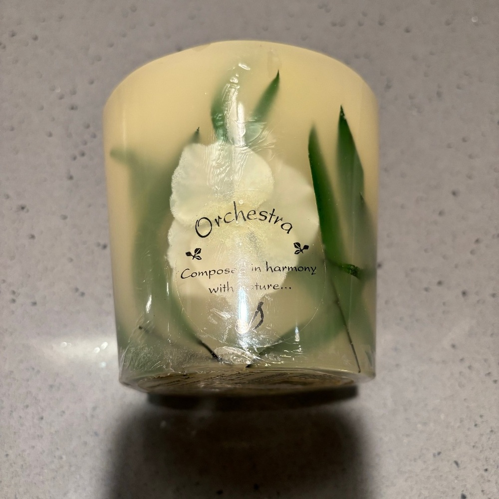 New vintage Fragrant Passages Orchestra Hydrangea and green willow candle